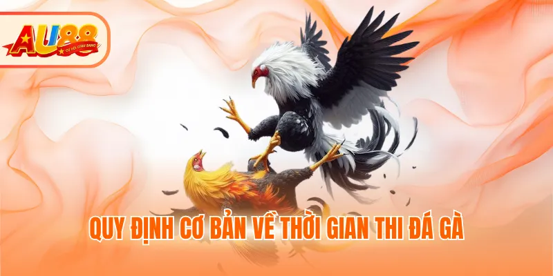 Quy định cơ bản về thời gian thi đá gà